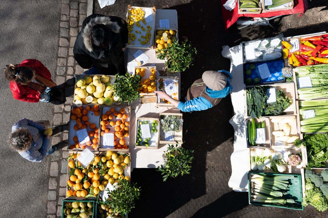 A food scare is inevitable because of the Iran war - and it could get worse