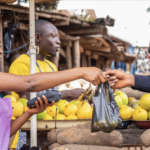 Facilitating Climate Action Investment Markets for Agri-food, Housing and Manufacturing in Tanzania - Global Center on Adaptation