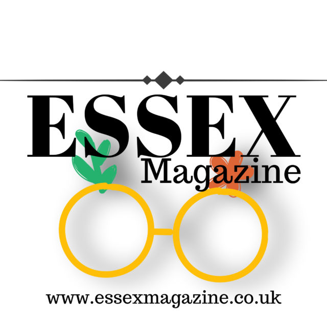 Rees-Mogg criticizes Reeves for energy bill payment for those on benefits - Essex Magazine