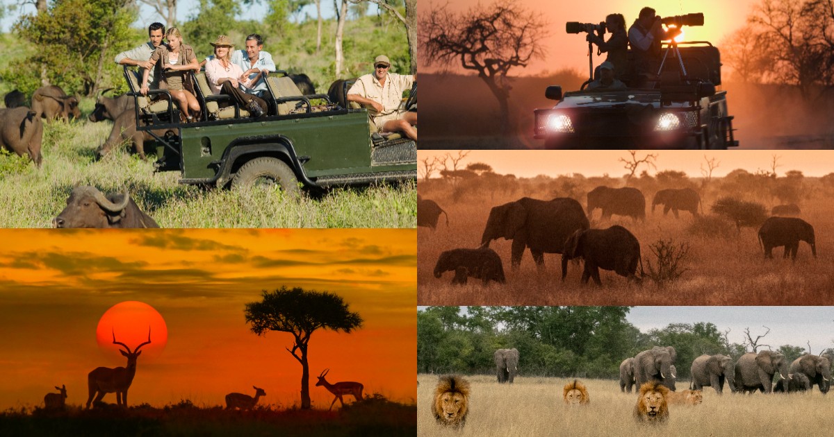 South Africa reports tourism boom, defies US and UK travel warnings as jobs near 1 million