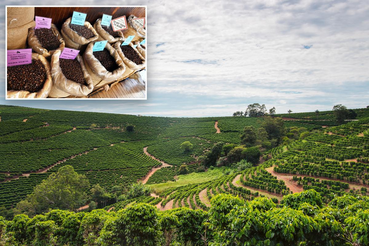 The price of coffee is rising faster than any other grocery store - and the reason goes beyond fees.