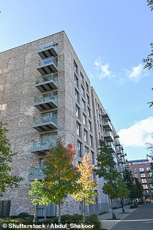 Knock-on effects: If first-time buyers stop, this will have knock-on effects for the entire market.